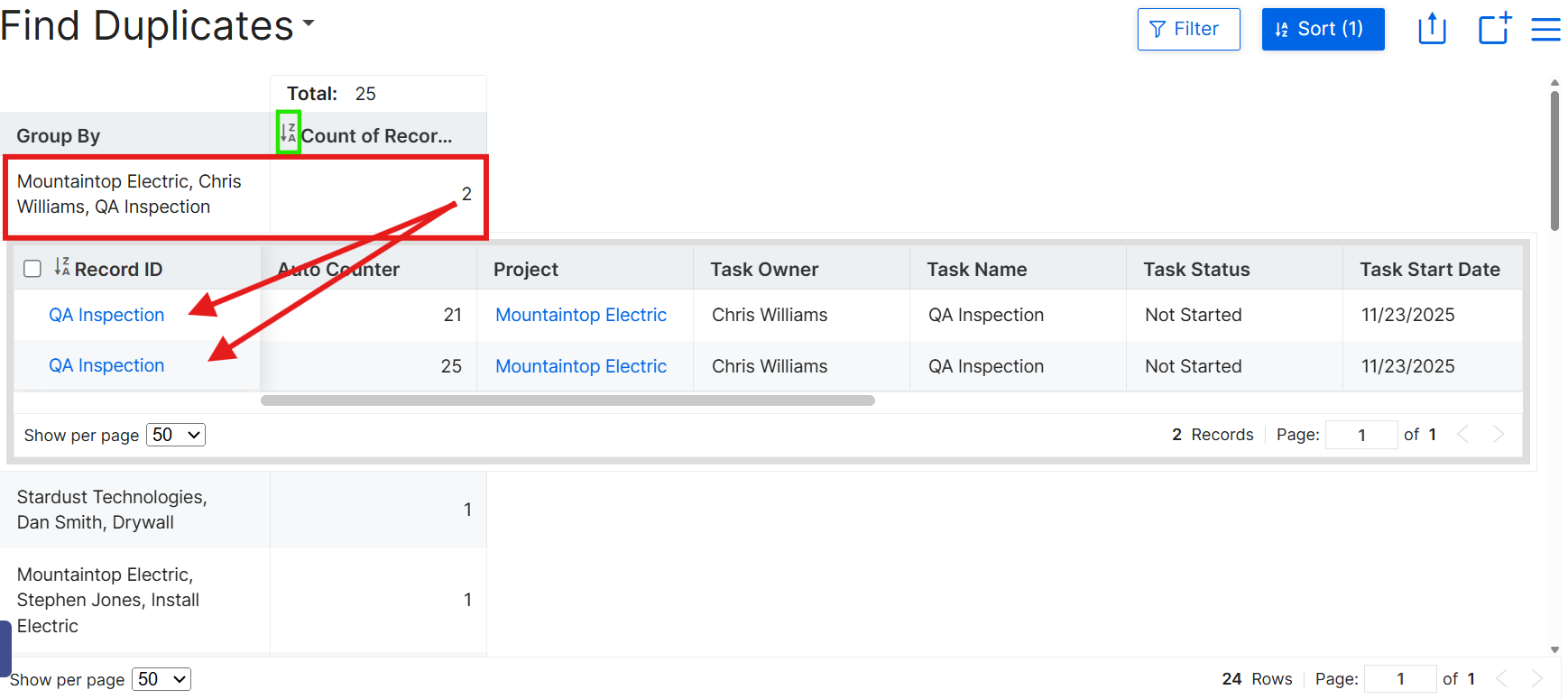 Duplicate Records Grouped View.png